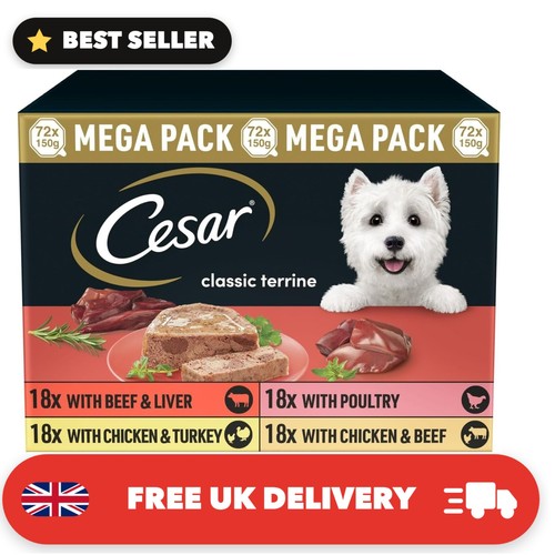 Classic terrine adult wet - terrine, dog