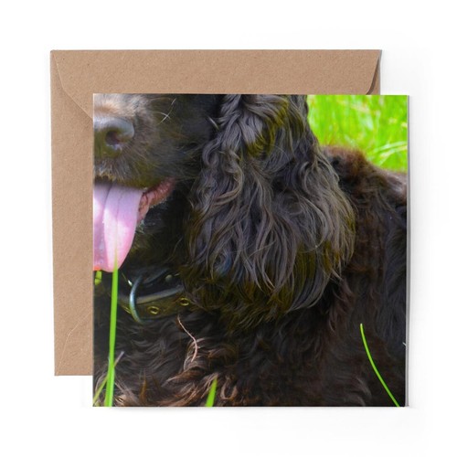 Blank greeting card irish - x,