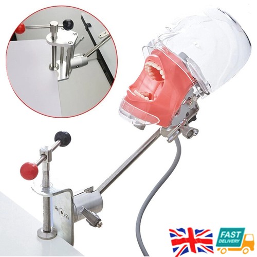 Dental simulator mannequin - dental,