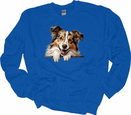 Peeking shetland sheepdog - shetland,