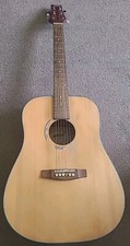 Ashton Acoustic Guitar With