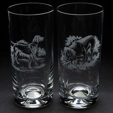 Weimaraner Dog Highball Glass