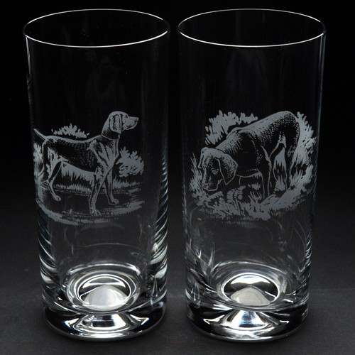Weimaraner dog highball glass - weimaraner,