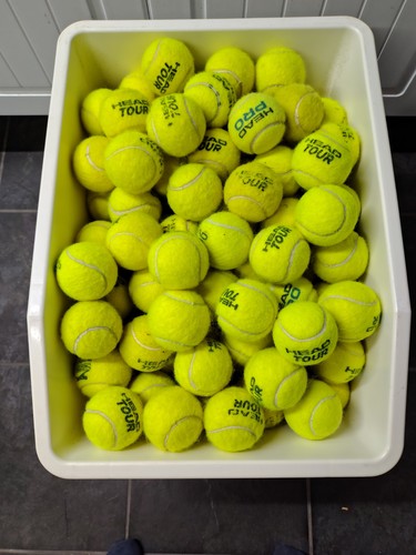 Used tennis balls - used,