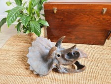 Triceratops Skull Fossilised Cast Replica Resin Model Jurassic Dinosaurs Large