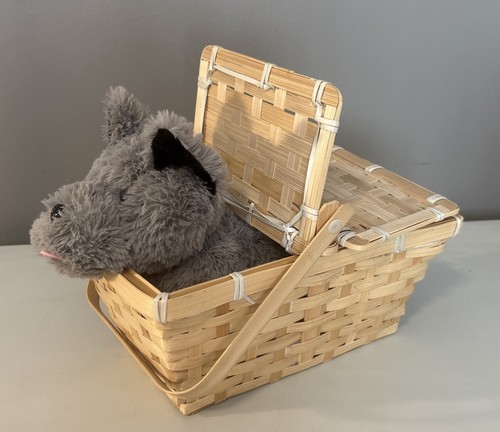 Wizard grey toto in a - of,