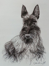 Original Pen & Ink Drawing