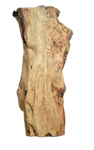 Large ash burr waney - burr, slab