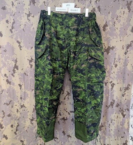 Caf canadian armed forces - caf,