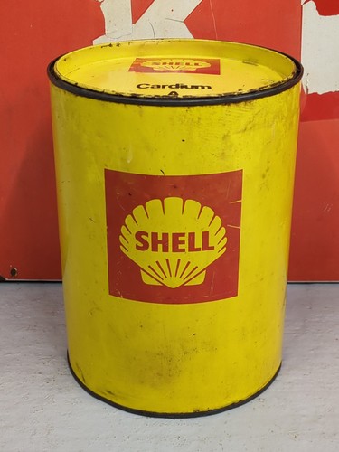 Vintage french shell - shell, cardium