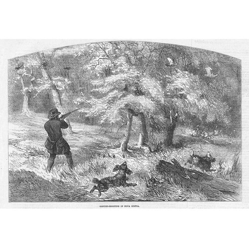 Canada grouse shooting nova - shooting,