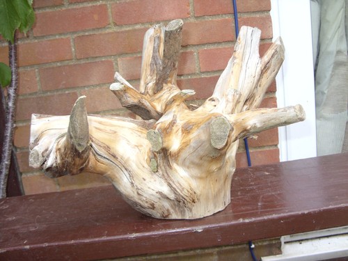 Large driftwood - large,