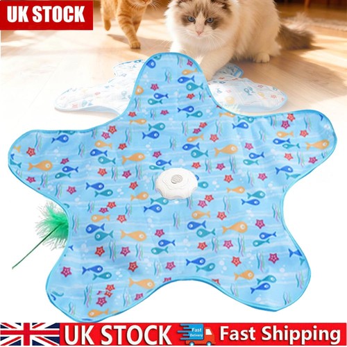 Hide and seek interactive cat - interactive,