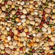 Tidymix Pulse & Rice Soaking &