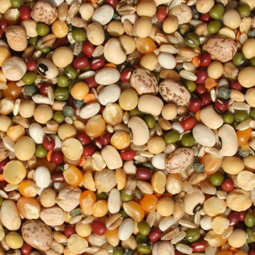 Tidymix pulse rice soaking - pulse, &