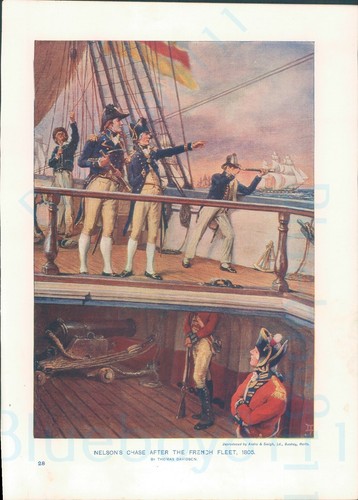 Edwardian print nelsons chase - edwardian,
