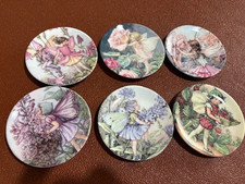 6 x Royal Worcester Tiny