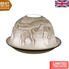 Stunning Elephant-Themed