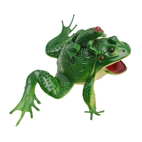 Frog model toy simulation - frog,
