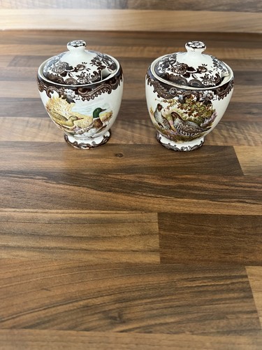 Palissy royal worcester - palissy,