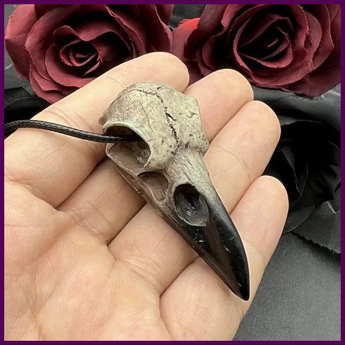 Goth raven skull - 3d,