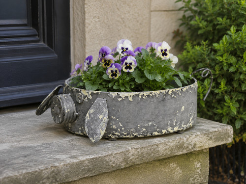 Metal pig planter - planter, rustic