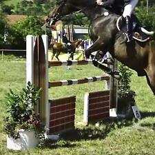 2x Horse Competition Jump Cups