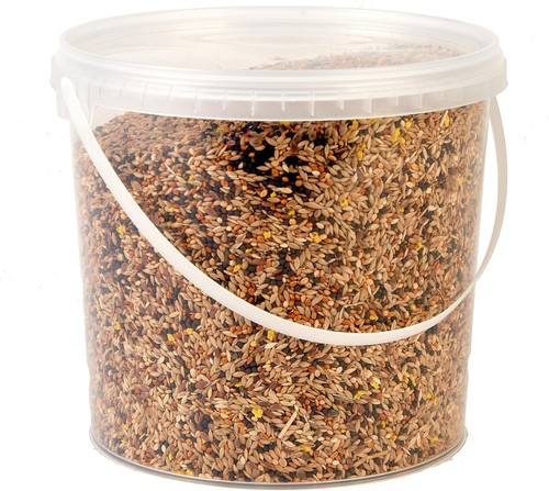 Premium canary seed - premium,