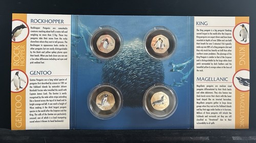 2017 falkland islands penguins - falkland,