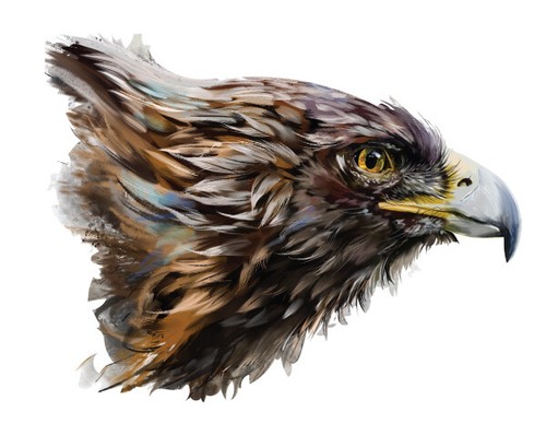 240mm eagle head sticker - 240mm,