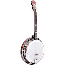 Gold Tone IT-250F 4-String