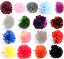 72 CARNATION PICK FLOWERS FUNERAL FLORIST TRIBUTE WEDDING CORSAGE PICKS FLOWER