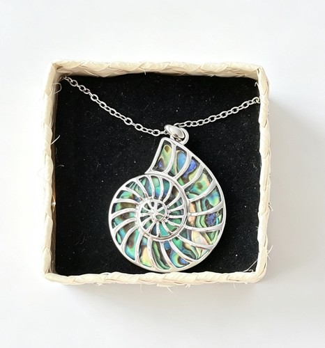 Beautiful nautilus paua - beautiful,