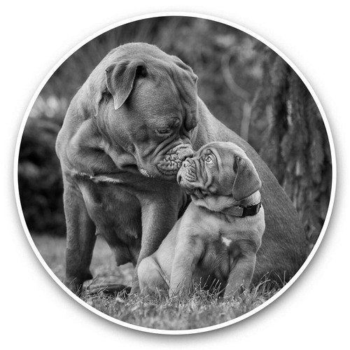 Vinyl stickers 5cm - stickers, (bw)