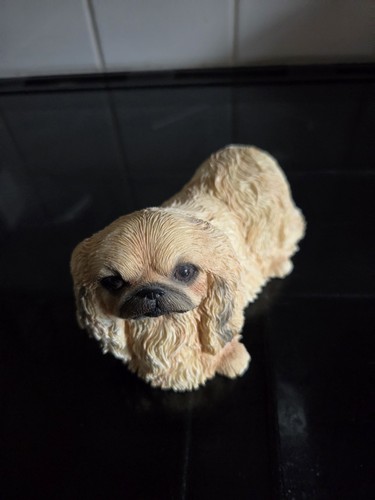 Leonardo collection pekingese - leonardo,