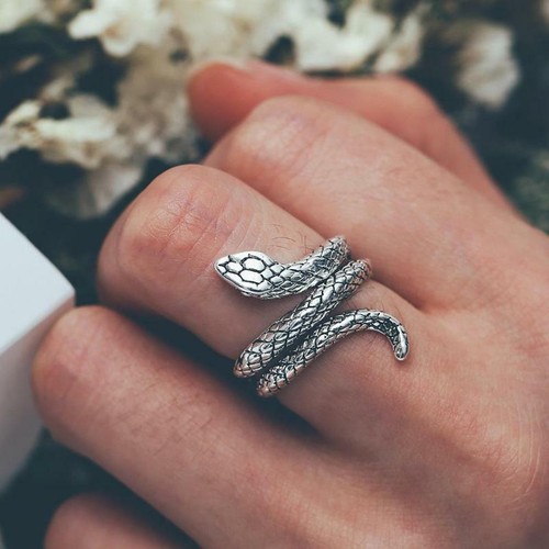 Snake animal punk vintage - animal,