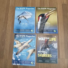 3 x RSPB Wildlife Magazines Birds and Waterlife WWT 2024 2025 wildfowl wetlands 
