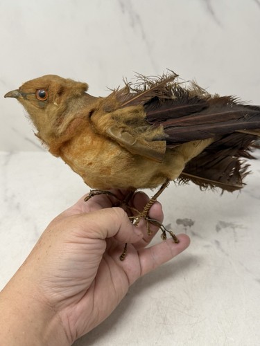 Antique feather bird glass - bird,