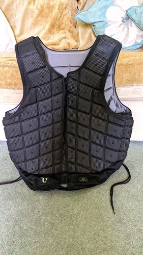 Champion ti22 body protector - champion,