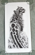 Gary Hodges "Sabu" Signed