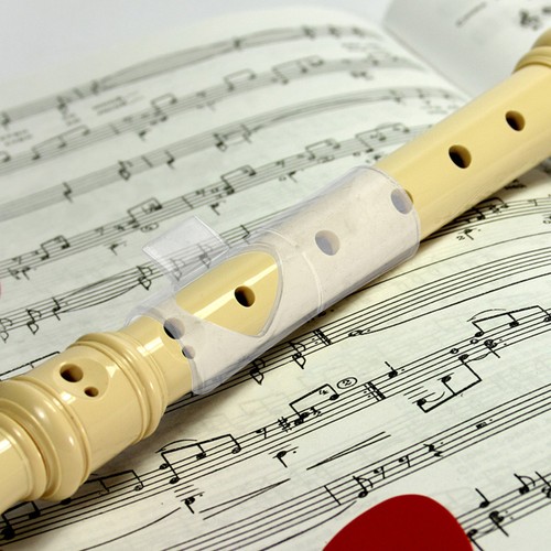 Beginner flute replacement - beginner,