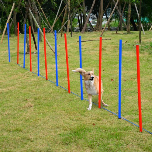 Pawhut pet agility - pet, set