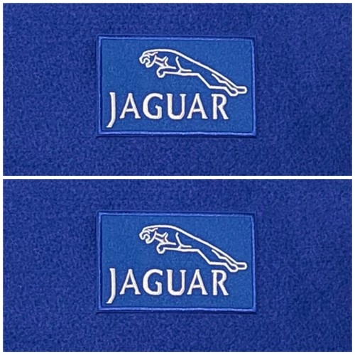 Pair jaguar motor car - jaguar,