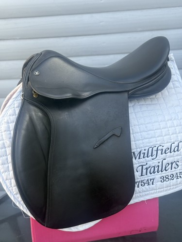 Black inch falcon - inch, general