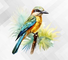 Watercolour Bee-eater Wall