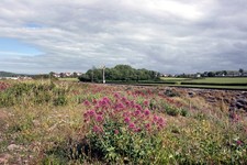 Photo A3 Between the Beach and