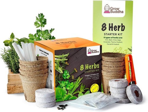 Herb growing kit - herb,