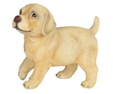 Yellow Labrador Lab Golden