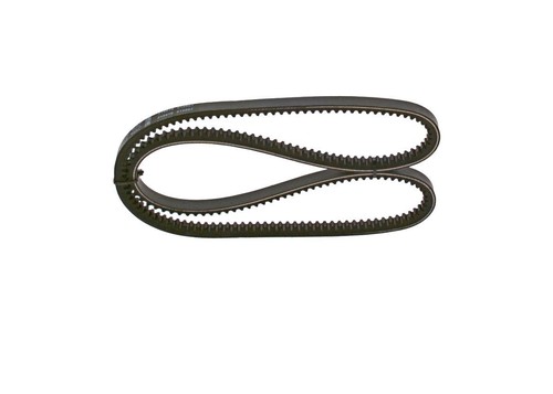 Bosch belt fits daf - ford, man