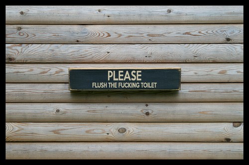 Flush toilet vintage - vintage, style